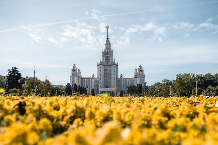 Поезд| Душа Москвы: истории и улицы из Великого Новгорода