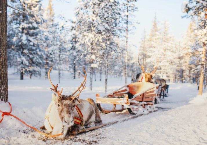 Самый яркий Новый год в Карелии