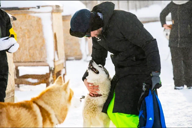 Кольский узор: мозаика арктических красот