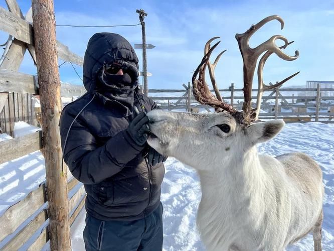 Зимняя сказка Кольского: киты и северное сияние