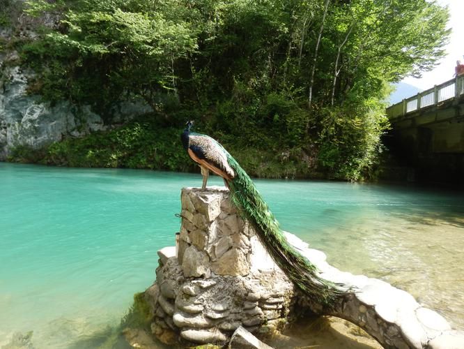 От шума Сочи к тишине Абхазии