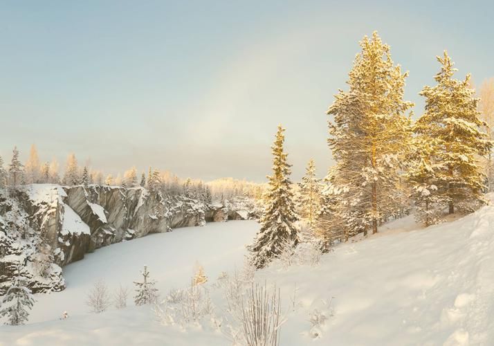 Автобус| Сказка для всей семьи: хаски и карельский Дед Мороз ждут в гости!