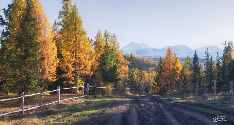 Увидеть Алтай и влюбиться! (промо)