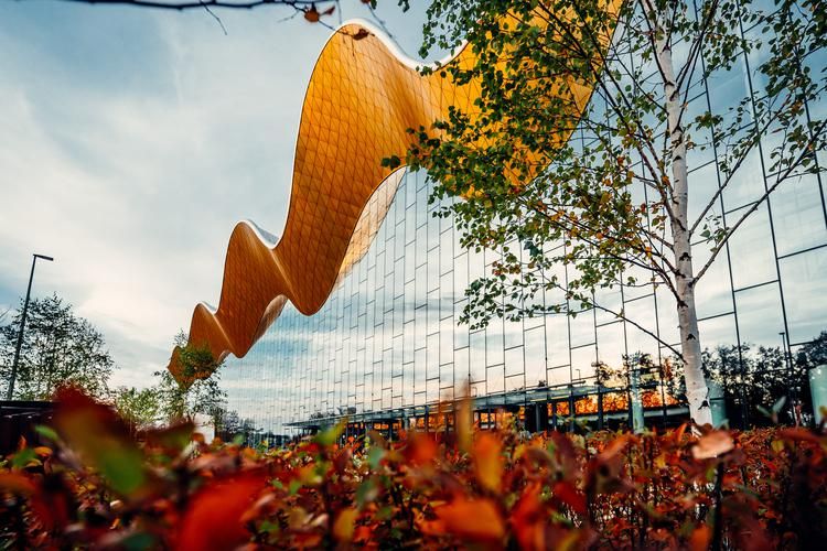 Цветы и впечатления: Москва на Первомай