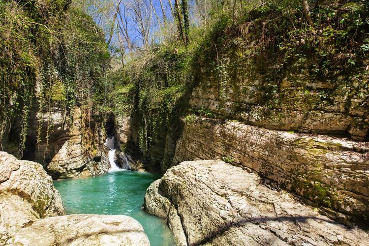 Автобус| Сочи в новогоднем настроении из Перми