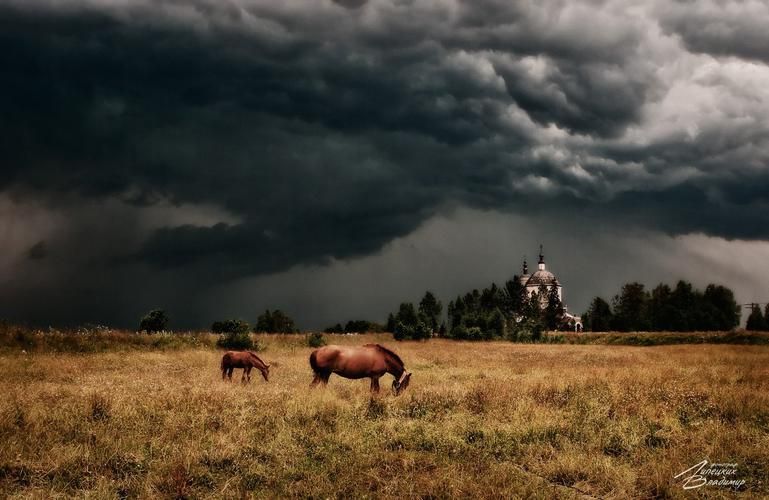 Алтай. Время начать заново