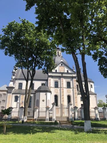 Лаванда в Беларуси: ароматы и краски лета