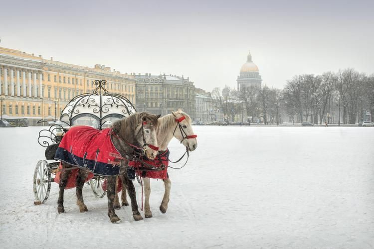 Петербург и Карелия: зимняя симфония