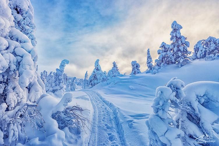 Новогодние праздники в Лермонтовских местах 4 дня (промо)