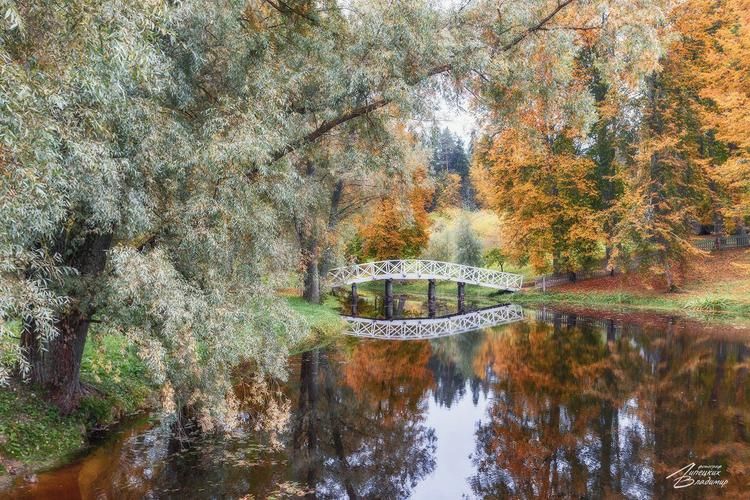 Автобус| Путь, где время останавливается у реки