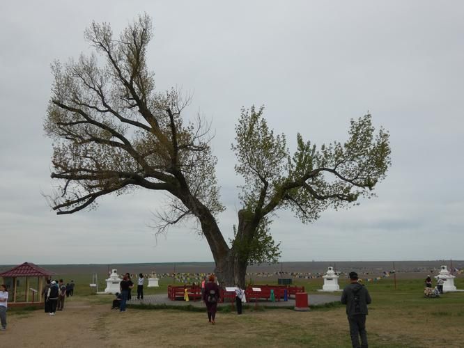 Калмыкия: путь к душе степи