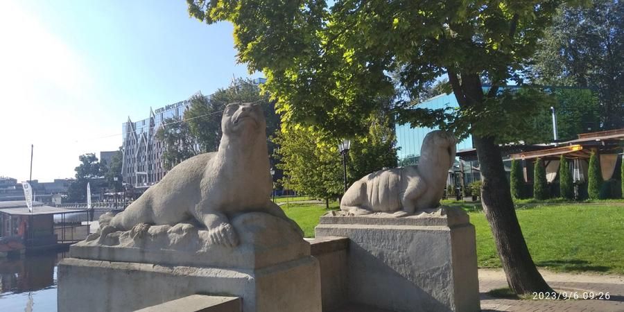 Калининград в Рождество: где Европа шепчет, а Россия греет