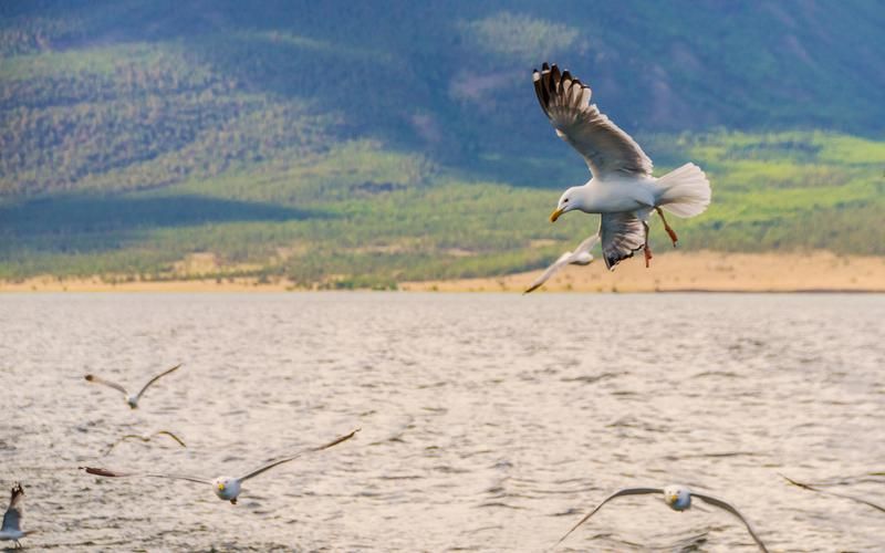 Автобус| Путь к голубым озёрам