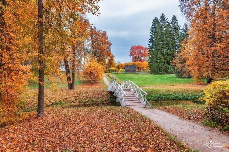 Путь свободы и верности