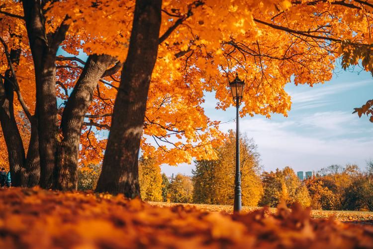 Москва: тепло осени и дух праздника