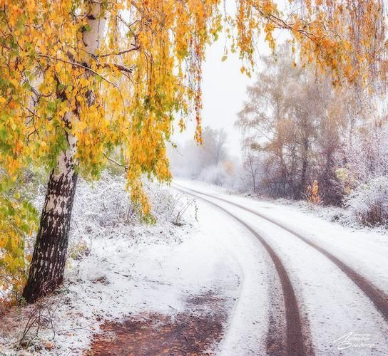 Новогодний экспресс (промо)