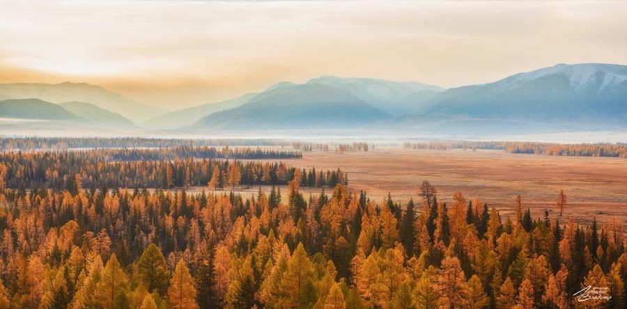 Горный калейдоскоп Алтая