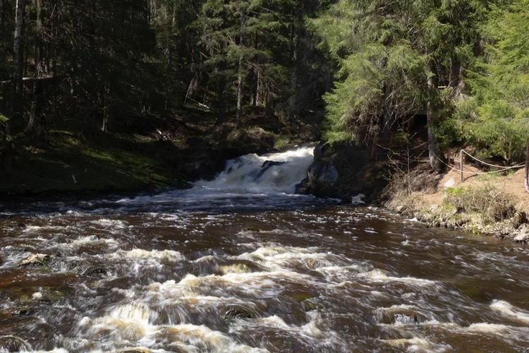 Водные чудеса и тайны природы