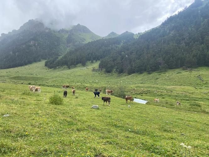 Автобус | Дагестан: где горы поют, а море слушает