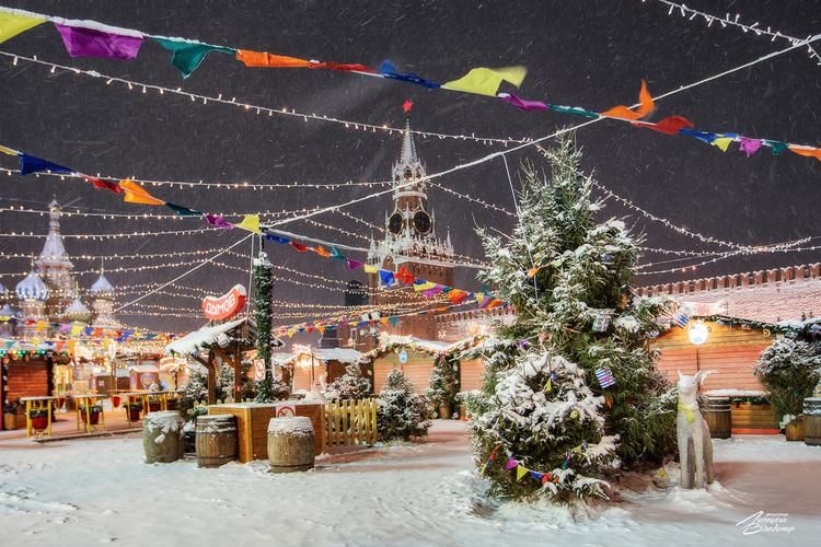 Поезд| Новогодние впечатления в Москве
