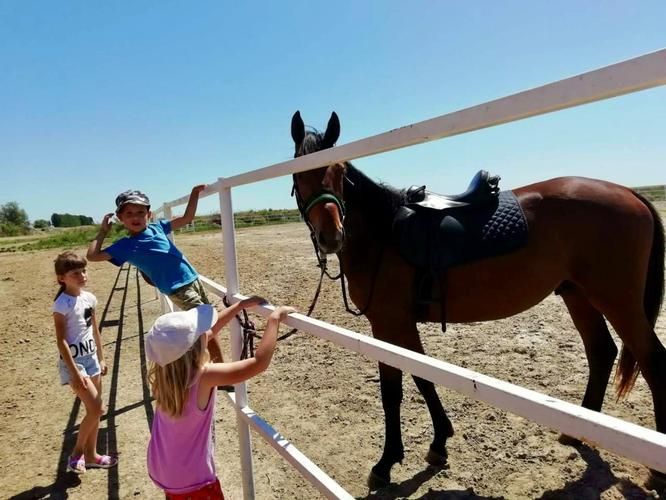 Каспий: волны и вдохновение