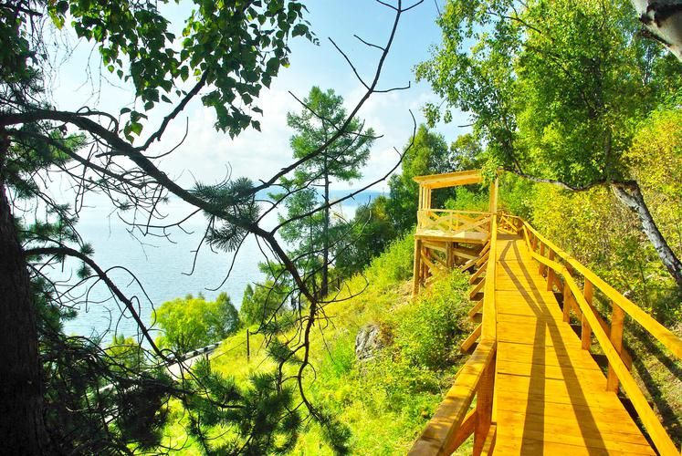 Тайга. Вызов. Выживание.