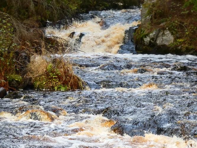 Белые пески Ладоги: встреча с Карельскими Мальдивами