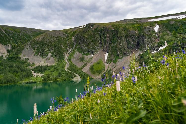 По следам Саян: природа, которая не знает спешки