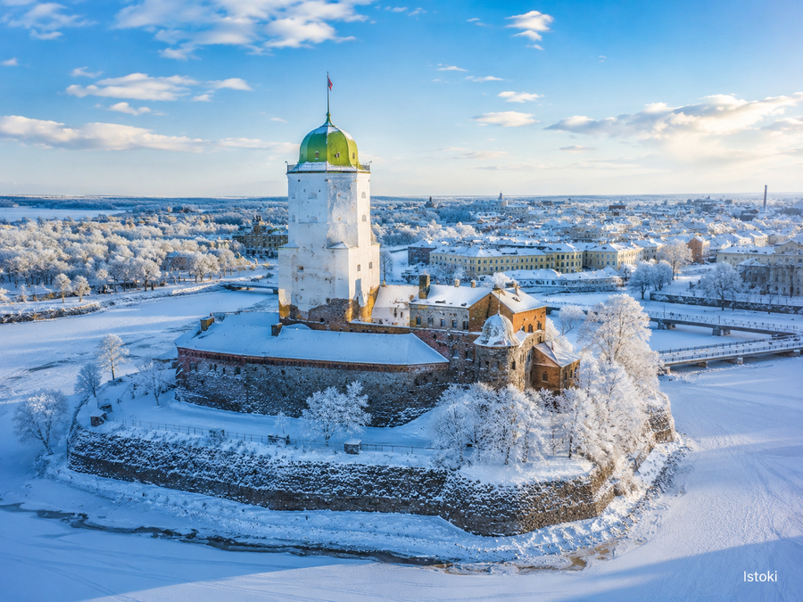 Огни зимнего Петербурга 3 дня