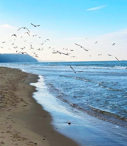 Автобус| Эрзя: земля, где живёт душа