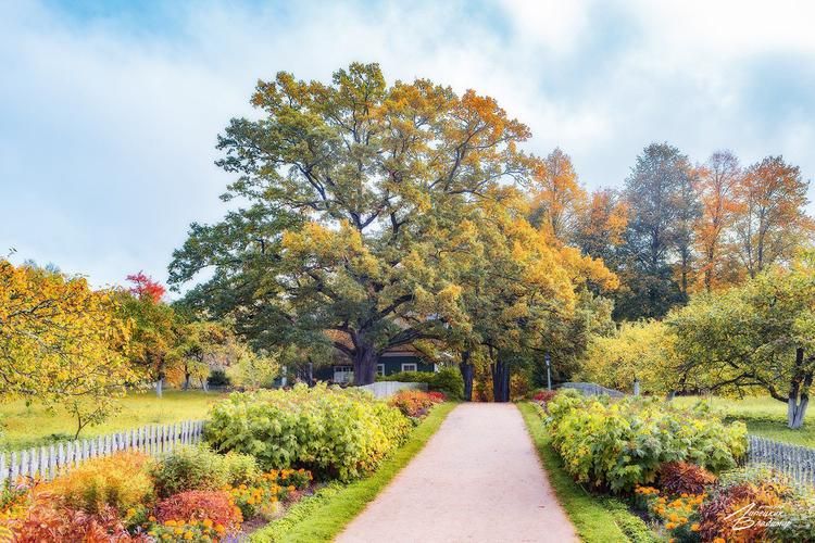 Псков: Стены, что помнят всё