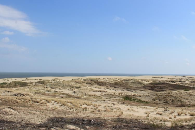 Волшебство Балтики