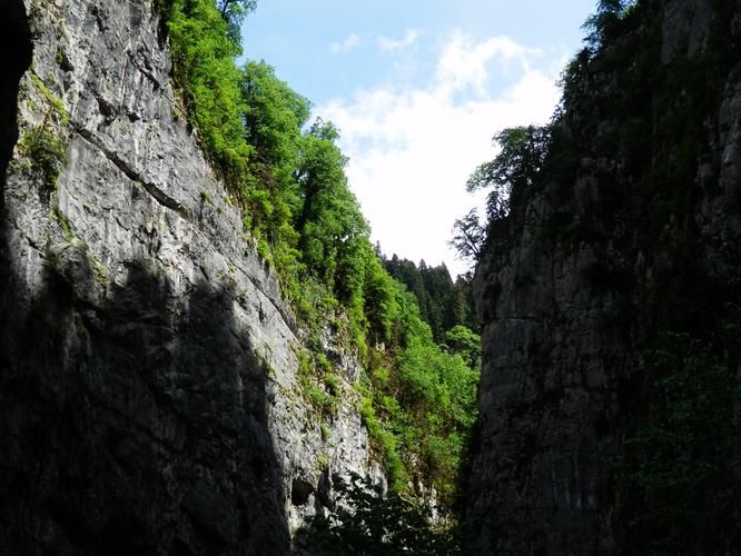 Автобус| Солнечная Абхазия